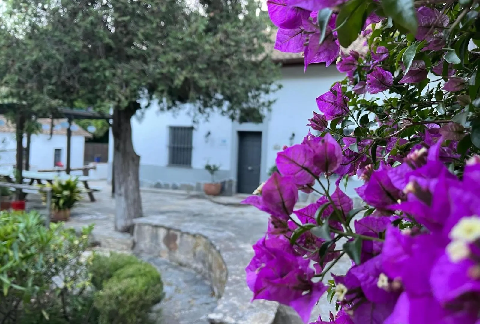 Landhaus Gasthaus Complejo Rural Huerta Grande Algeciras