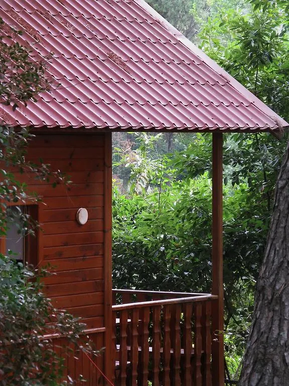 Landhaus Gasthaus Complejo Rural Huerta Grande Algeciras Spanien